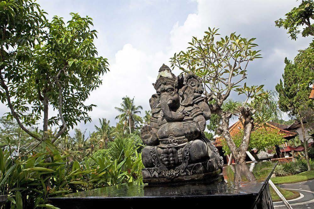 The Artini Dijiwa